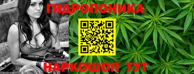 амф Конаково